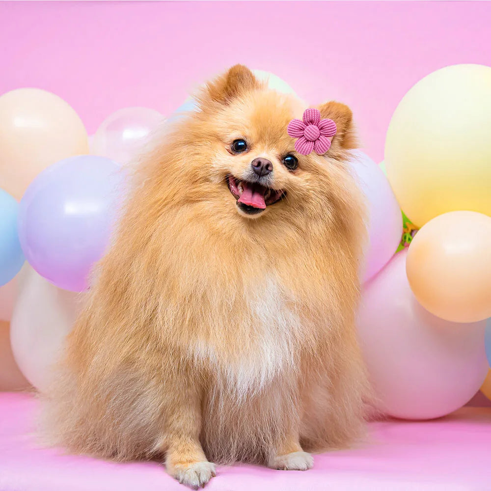 PawPerfection™ Flower Dog Grooming Bows: Pet Hair Accessories Set